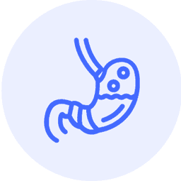 Gastroesophageal Reflux Disease (GERD)